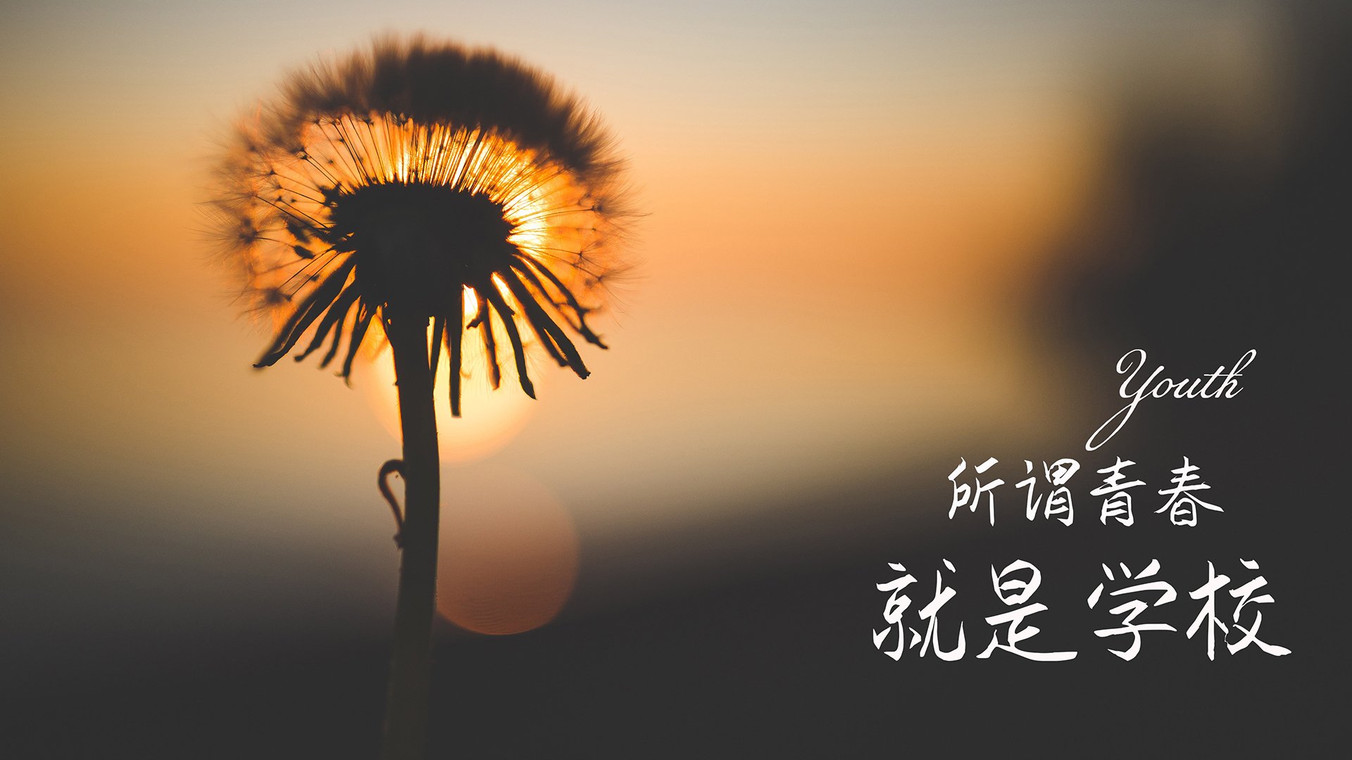 “德甲最后关头,争冠形势变得扑朔迷离”,德甲最后一轮看点