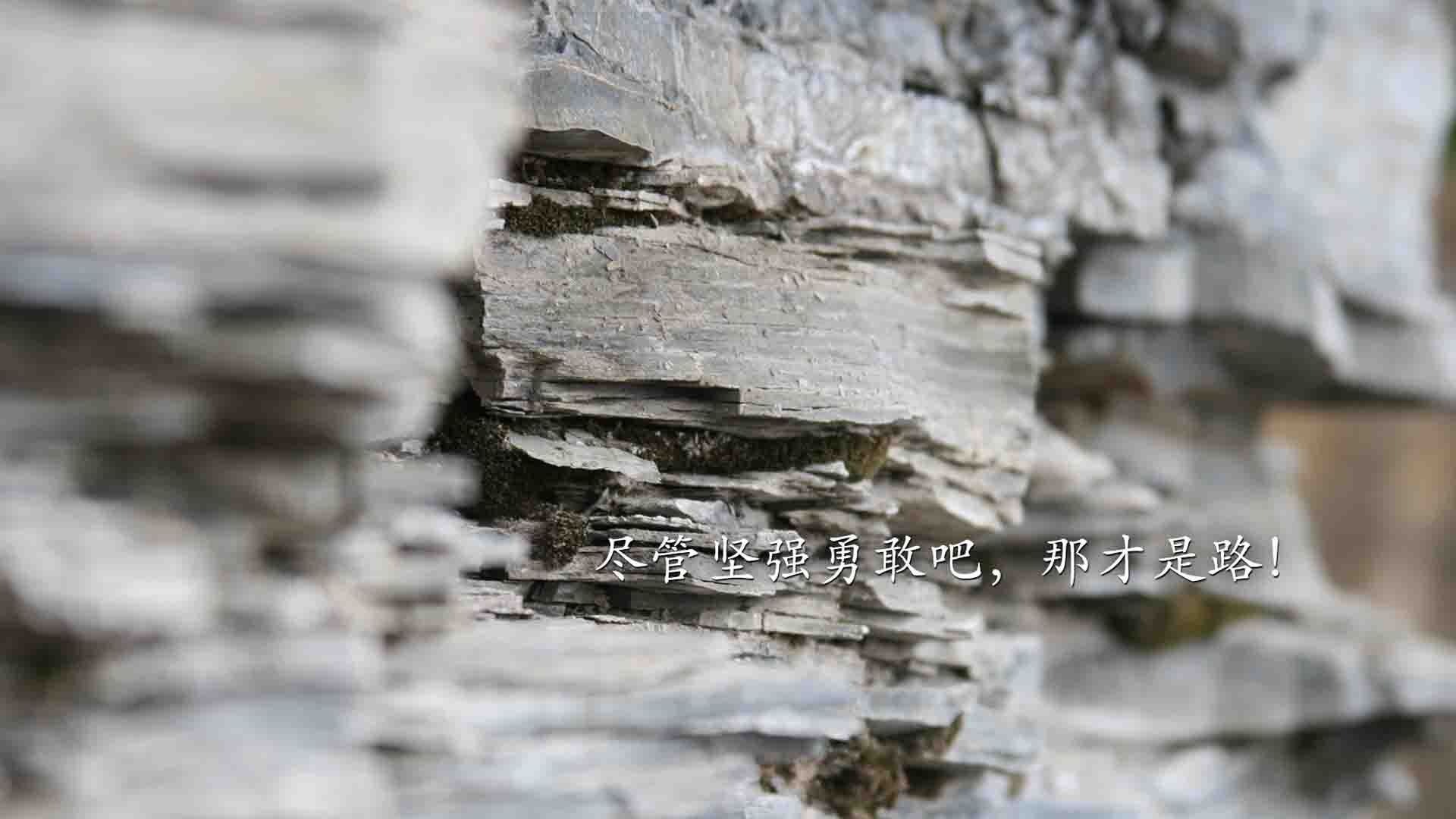 【全景直播】利用VR技术体验入场感受，vr实景体验